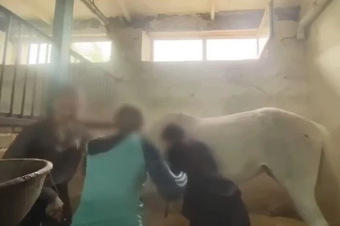 Horse school students abused a mare