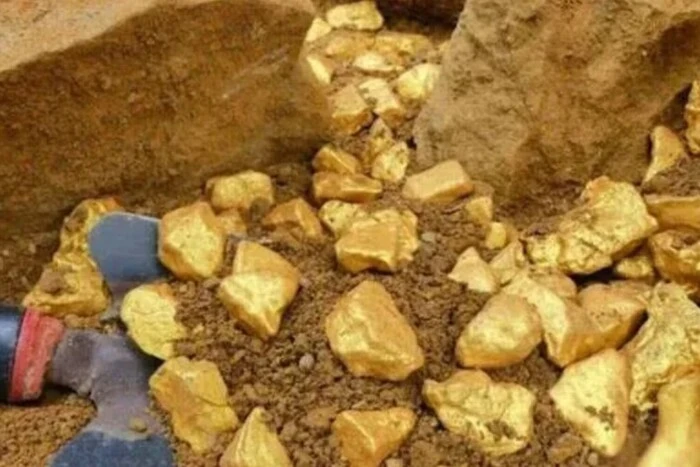 Francuski rolnik znalazł 150 ton złota na swojej działce