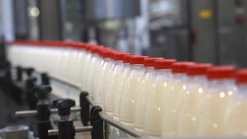 Ukraińskie produkty mleczne podbijają rynki zagraniczne: analiza eksportu za sierpień