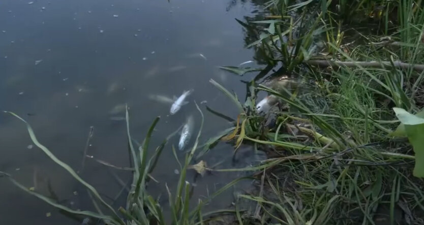 Запасайтесь: якість води в Києві