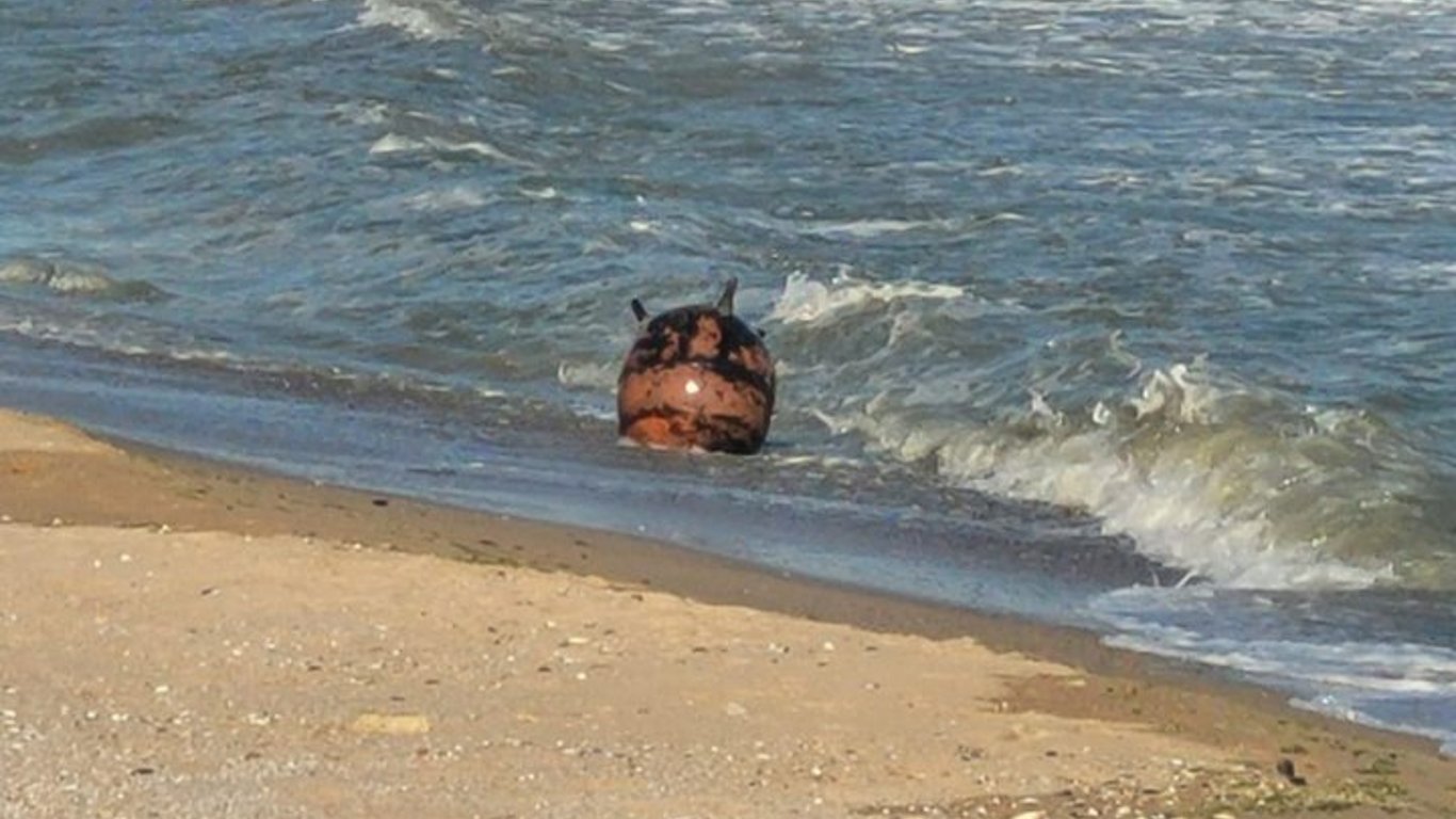 Dangerous Sea - When Swimming, Be Sure to Look in All Directions